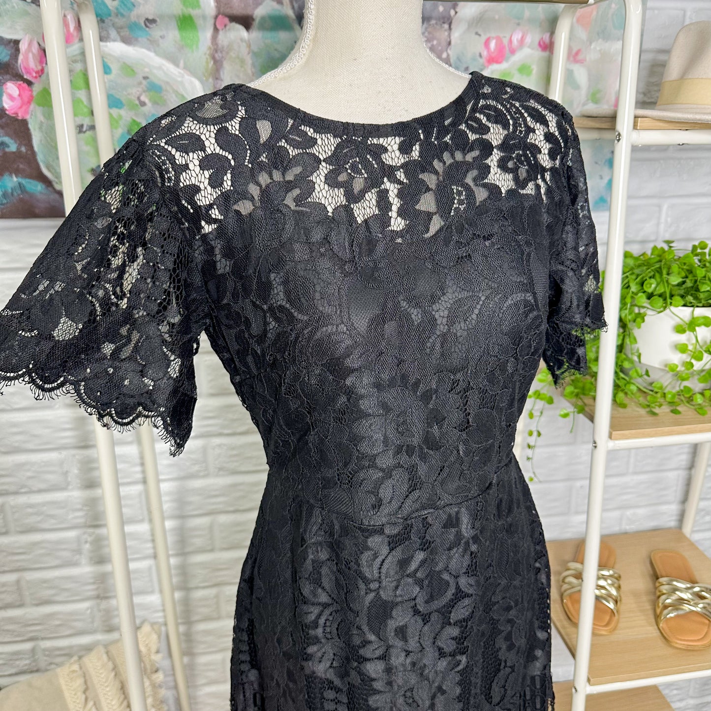 MSLG New Black Lace Short Sleeve Dress Size Medium