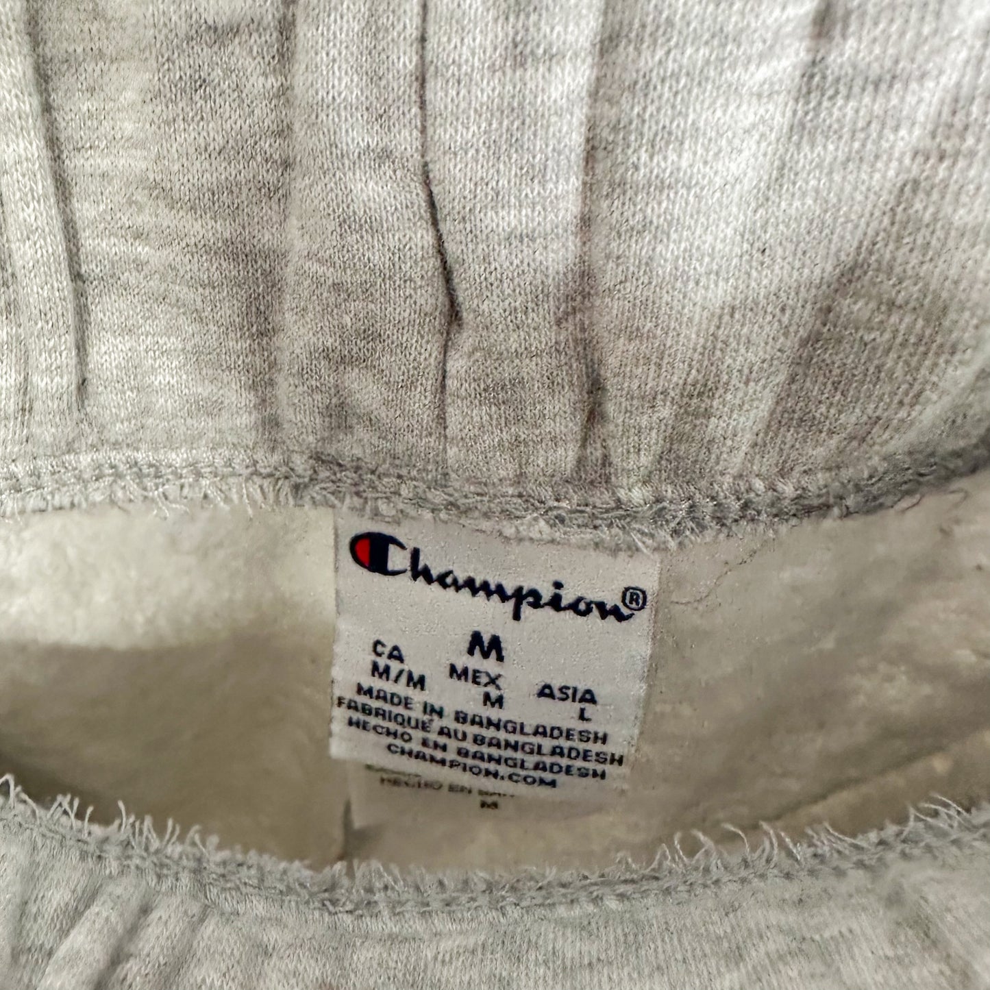 Champion Michigan Wolverines Sweatpants Size Medium