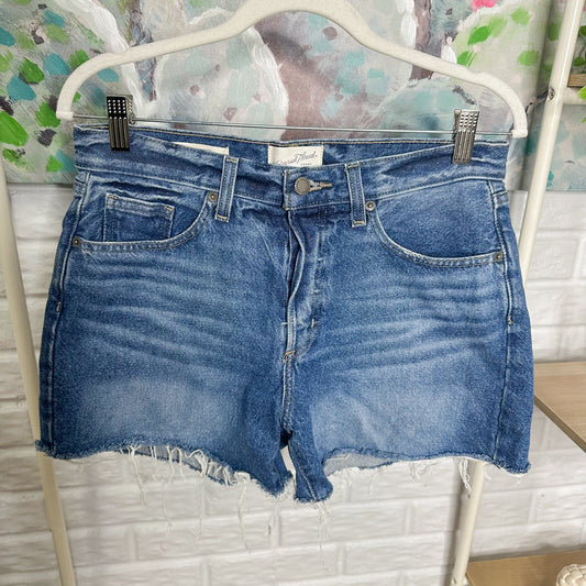 Universal Thread Mid Rise 90s Baggy Shorts (2)