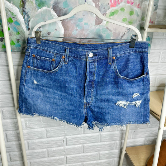 Levi’s 501 Raw Hem Shorts Size 34